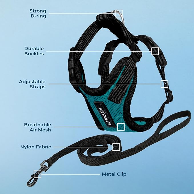 Voyager Step-in Lock Adjustable Cat Harness w. Cat Leash Combo Set with Neoprene Handle 5ft - Supports Small, Medium and Large Breed Cats by Best Pet Supplies - Turquoise/Black Trim, S