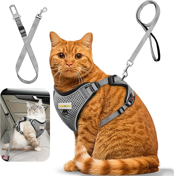 Cat Harness and Leash for Walking, Retractable Cat Harnesses and Leash Set Escape Proof, Breathable Soft Kitten Harness Small Large Cat Harness for Travel Training and Walking, Grey, S