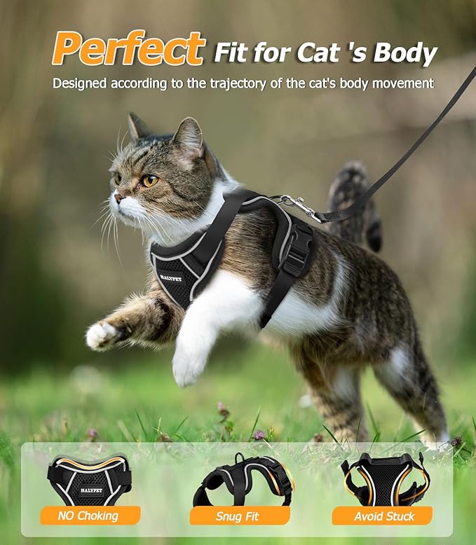 Halypet Cat Harness and Leash Set [MAX Safety 4th-Gen Upgrade] Escape Proof Adjustable Cat Leash Comfortable Soft Vest Easy to Wear Kitten Harness with Reflective Strip for Cats Walking, M Black