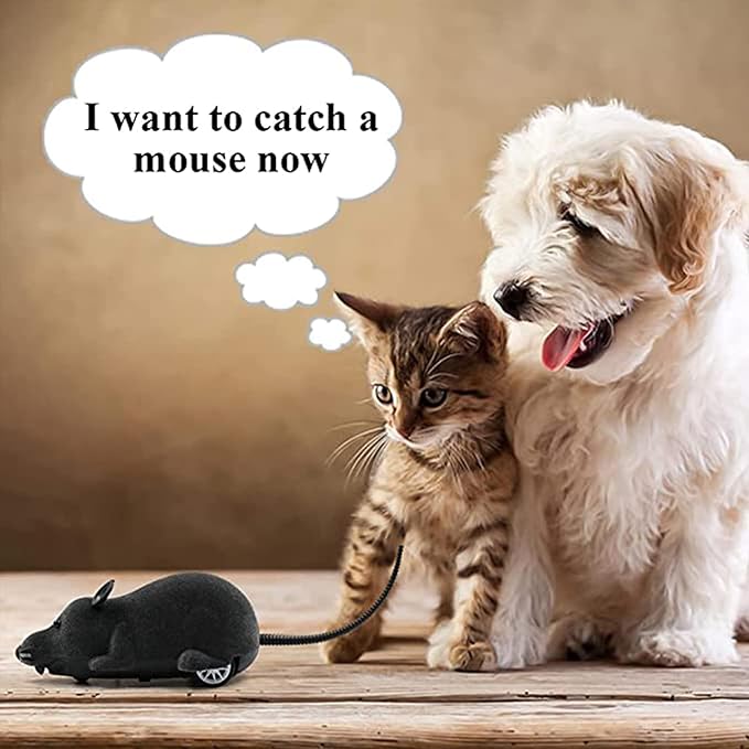 Aerbee Remote Control Rat Toy, Electric RC Mouse Toy Emulation Flocking Rat Toy Interactive Cat Toys Pet Toys Funny Wireless Chasing Prank Joke Scary Trick Rats Animal for Pets Novelty Gift