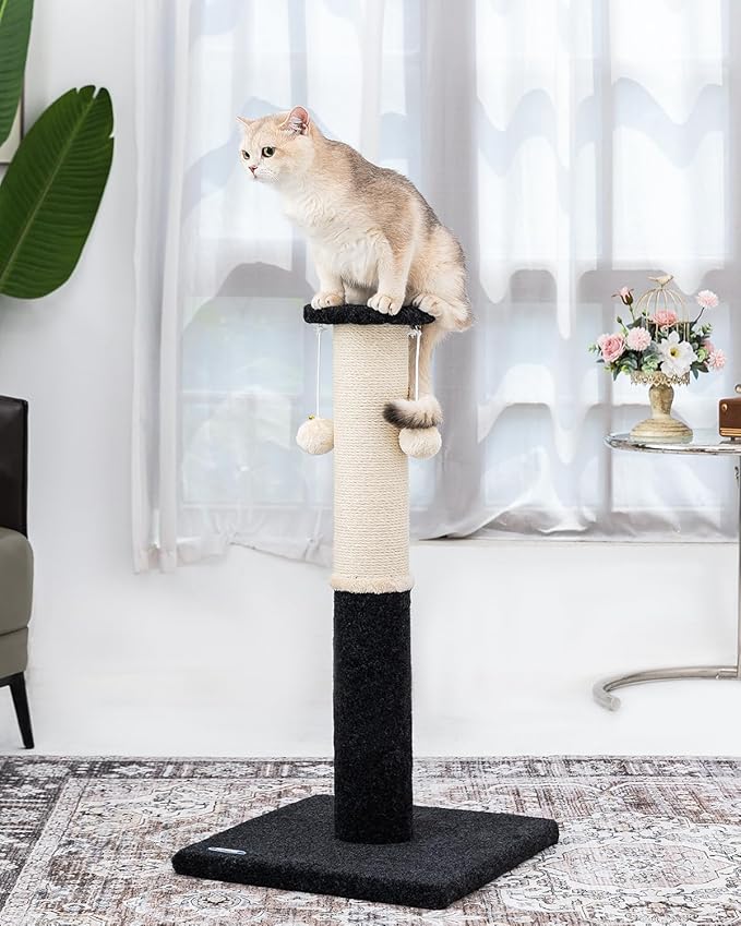 34-Inch Tall Cat Scratching Post for Indoor Cats, Large Carpet Scratch Post, Sisal Cat Scratcher, Sturdy and Durable Cat Post with Hanging Ball