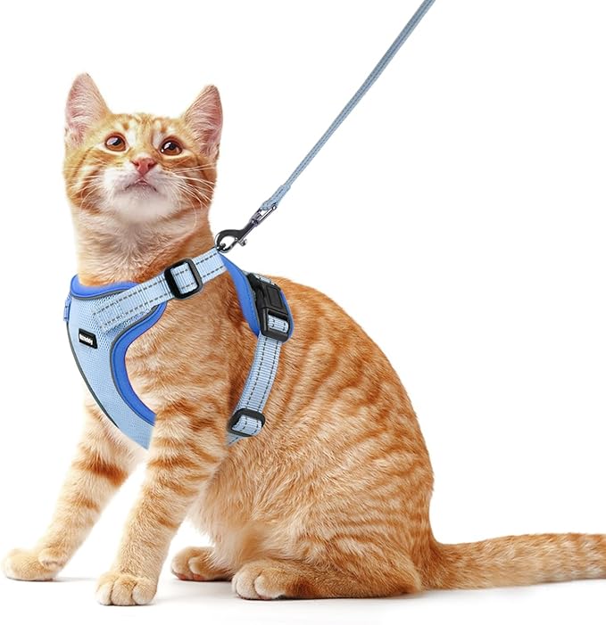 Rttochfy Cat Harness and Leash Set, Adjustable and Reflective Cat Vest, Escape Proof Kitten Harness, Easy to Put on with 3 Buckles for Cats Walking and Traveling (Blue, M)
