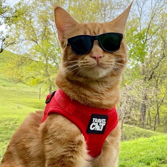 Travel Cat Harness and Leash Set - Adjustable Fit Mesh Cat Harness and Reflective Strap - Comfort Escape Proof Harness for Cats, Kitten for Outdoor Walking, Hiking (Medium, Red)