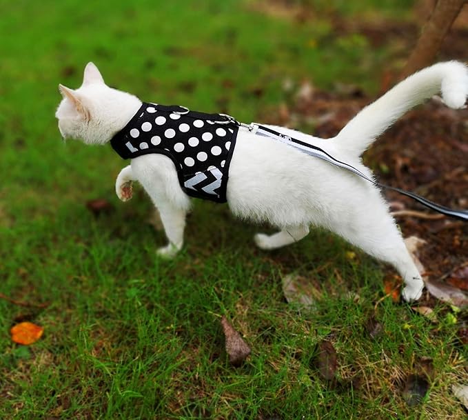 Cat Harness and Leash for Walking Escape Proof, Adjustable Cat Vest Harness, Padded Stylish Cat Walking Jackets, Polka Dot Black, XX-Large