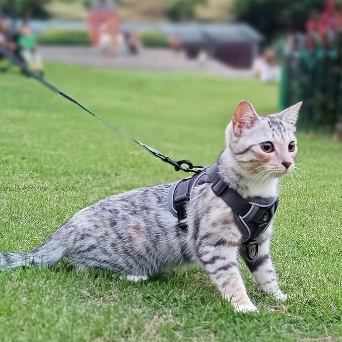 Cat Harness and Leash Set Escape Proof Tactical Extra Large Kitten Harness Emotional Support Cat Vest, Grey, XL