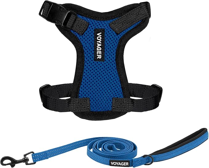 Voyager Step-in Lock Adjustable Cat Harness w. Cat Leash Combo Set with Neoprene Handle 5ft - Supports Small, Medium and Large Breed Cats by Best Pet Supplies - Royal Blue/Black Trim, XXS