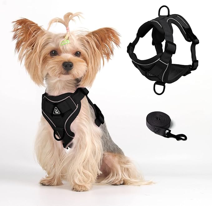Cat Harness and Leash Set: Upgraded Escape Proof Vest with Lead for Large Cat Small Dog Puppy Walking, Soft Jacket Reflective Strips, Black (XL)