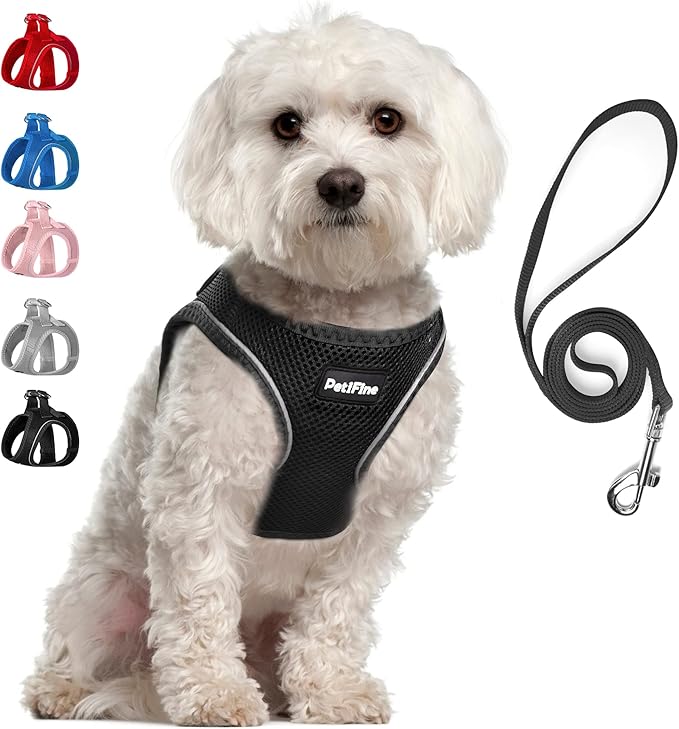 PetiFine Step in Small Dog Harness and Leash Set, Breathable All Weather Air Mesh Reflective Escape Proof, Step-in Vest Harnesses for Puppy(S, Black)