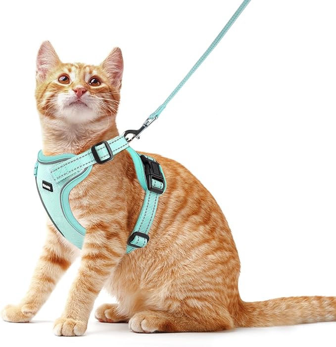 Rttochfy Cat Harness and Leash Set, Adjustable and Reflective Cat Vest, Escape Proof Kitten Harness, Easy to Put on with 3 Buckles for Cats Walking and Traveling (Light Green, S)