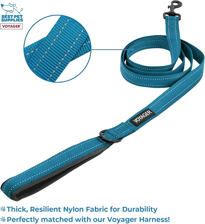 Voyager Step-in Lock Adjustable Cat Harness w. Cat Leash Combo Set with Neoprene Handle 5ft - Supports Small, Medium and Large Breed Cats by Best Pet Supplies - Turquoise, XXS