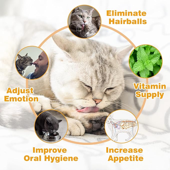 4 Pack Catnip Balls, Catnip Ball for Cats Wall, Edible Kitty Toys for Cats Lick, Safe Healthy Kitten Chew Toys, Teeth Cleaning Dental Cat Toys, Cat Wall Treats (Pink)