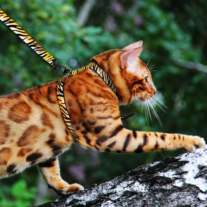 Cat Harness and Leash Escape Proof, Adjustable Soft Kitten Leash for Outdoor Walking & Travel with Breathable Nylon, 4.9ft Cat Collar for Large - Lightweight & Safe Large Cat Harness [M]