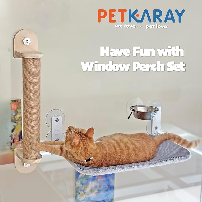 PETKARAY Window Cat Bowls, Cat Food Bowl for Window, Dog Proof Cat Feeding Station, Foldable Stainless Kitty Bowl 12 Ounces (Pack of 2)