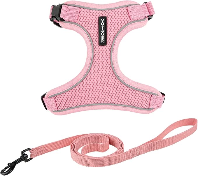 Voyager Escape Proof Cat Harness and Leash Set with Reflective Stitching, Neoprene Handle 5ft - Supports Small, Medium and Large Cats, Kittens for Walking by Best Pet Supplies - Pink, XXS