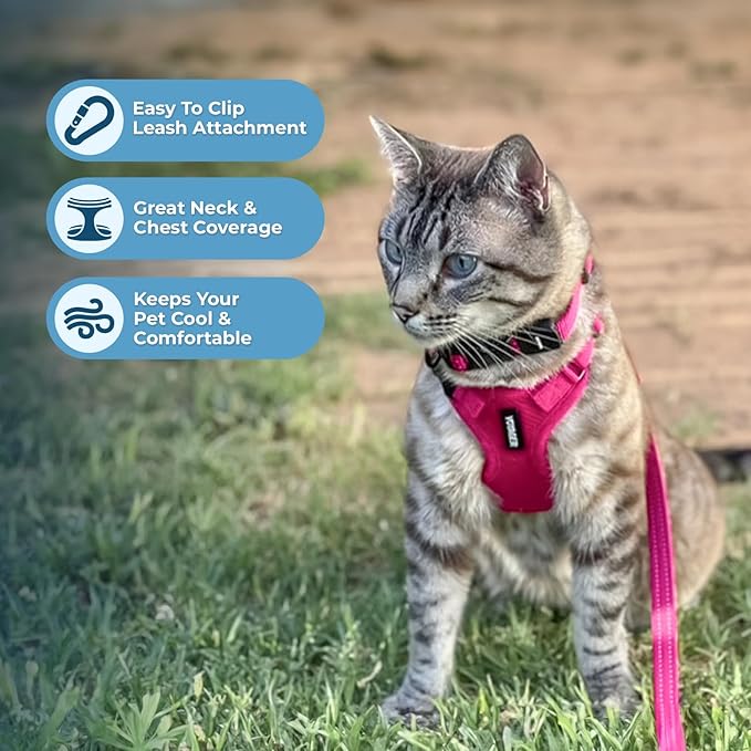 Voyager Step-in Lock Adjustable Cat Harness w. Cat Leash Combo Set with Neoprene Handle 5ft - Supports Small, Medium and Large Breed Cats by Best Pet Supplies - Fuchsia, XS