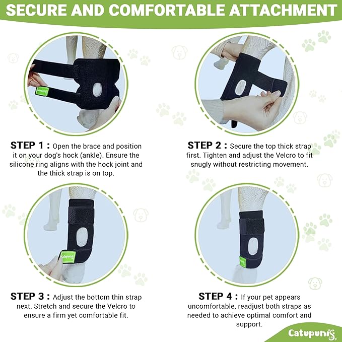 2PCS Dog Braces for Back Leg for Support. Dog Arthritis Brace. Hind Leg Support for Dogs. Leg Brace for Dogs Back Leg. Dog Leg Brace. Dog Back Leg Support Brace. Dog Hock Brace Rear Leg (XL)