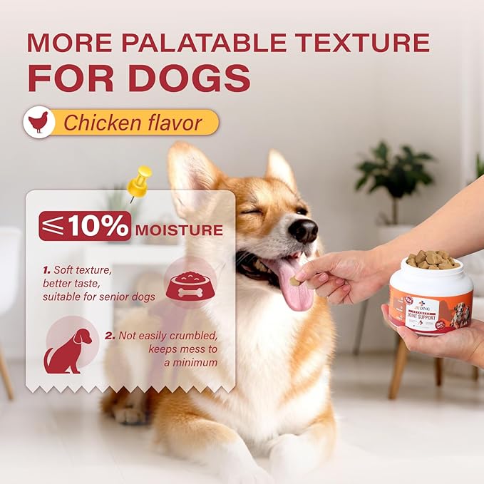 2-Pack Hip and Joint Supplement for Dogs, 200 Chews - Glucosamine Chondroitin for Dogs, Joint & Hip Health, Arthritis Pain Relief, Supports Immune System & Vitamins - Ideal for All Ages & Large Breeds