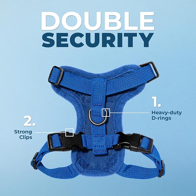 Voyager Step-in Lock Adjustable Cat Harness w. Cat Leash Combo Set with Neoprene Handle 5ft - Supports Small, Medium and Large Breed Cats by Best Pet Supplies - Royal Blue, XXXS