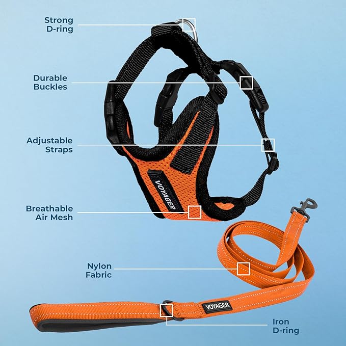Voyager Step-in Lock Dog Harness w Reflective Dog Leash Combo Set with Neoprene Handle 5ft - Supports Small, Medium and Large Breed Puppies/Cats by Best Pet Supplies - Orange/Black Trim, XS