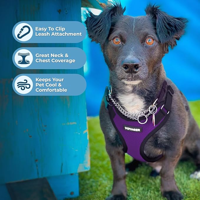 Voyager Step-in Lock Dog Harness w Reflective Dog Leash Combo Set with Neoprene Handle 5ft - Supports Small, Medium and Large Breed Puppies/Cats by Best Pet Supplies - Purple/Black Trim, L