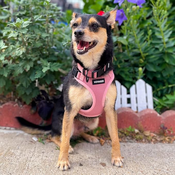 Voyager Step-in Lock Pet Harness - All Weather Mesh, Adjustable Step in Harness for Cats and Dogs by Best Pet Supplies - Pink, XL