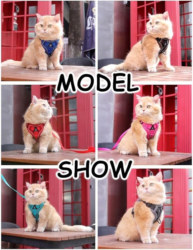 Cat Harness and Leash Set, Upgraded Escape Proof Adjustable Vest with Lead for Kitten Puppy Outdoor Walking, Soft Breathable Mesh Jacket with Reflective Strips for Dark Night, M, Gray