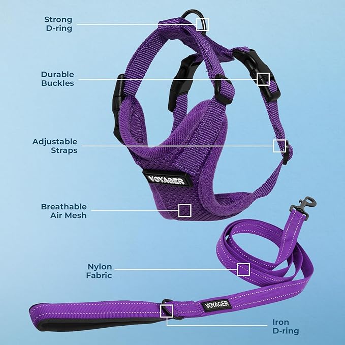 Voyager Step-in Lock Dog Harness w Reflective Dog Leash Combo Set with Neoprene Handle 5ft - Supports Small, Medium and Large Breed Puppies/Cats by Best Pet Supplies - Purple, XS