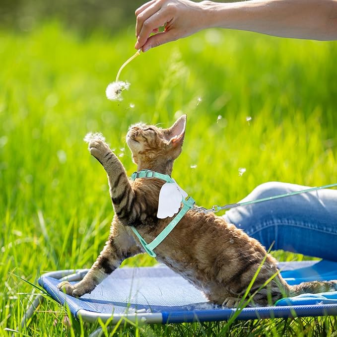 TIESOME Cat Harness and Leash Set, Adjustable Gradient Kitten Harness Escape Proof Harness with Leash for Kitty Outdoor Walking (Green)