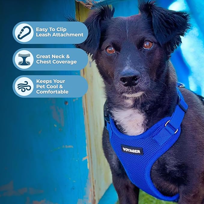 Voyager Step-in Lock Pet Harness - All Weather Mesh, Adjustable Step in Harness for Cats and Dogs by Best Pet Supplies - Royal Blue, S