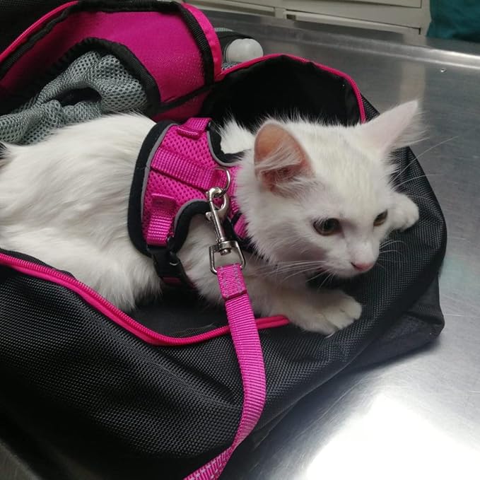 PUPTECK Cat Harness and Leash Set Escape Proof Reflective Cat Walking Harness Adjustable Soft Breathable Mesh Vest for Small Pets, Deep Pink, S