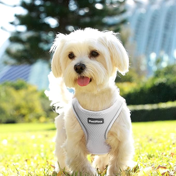 PetiFine Step in Small Dog Harness and Leash Set, Breathable All Weather Air Mesh Reflective Escape Proof, Step-in Velcro Vest Harnesses for Puppy(S, Grey)