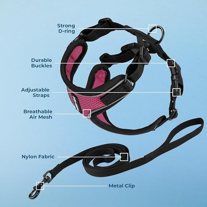 Voyager Escape Proof Cat Harness and Leash set with Reflective Stitching, Neoprene Handle 5ft - Supports Small, Medium and Large Cats, Kittens for walking by Best Pet Supplies - Black Trim-Fuchsia, XS