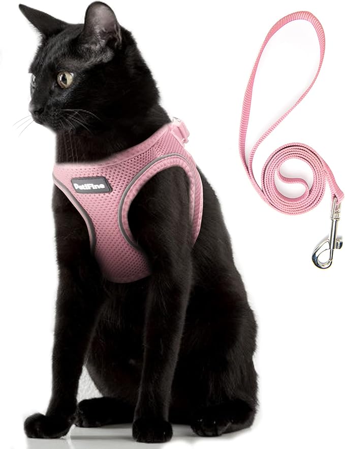 PetiFine Extra Small Step in Dog Harness and Leash Set, Cat Harness and Leash Escape Proof, All Weather Mesh Reflective, Step-in Air Vest Harnesses for Puppy(XXS, Pink)