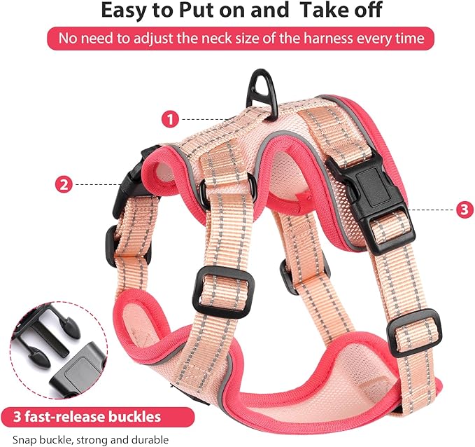 Rttochfy Cat Harness and Leash Set, Adjustable and Reflective Cat Vest, Escape Proof Kitten Harness, Easy to Put on with 3 Buckles for Cats Walking and Traveling (Pink, S)