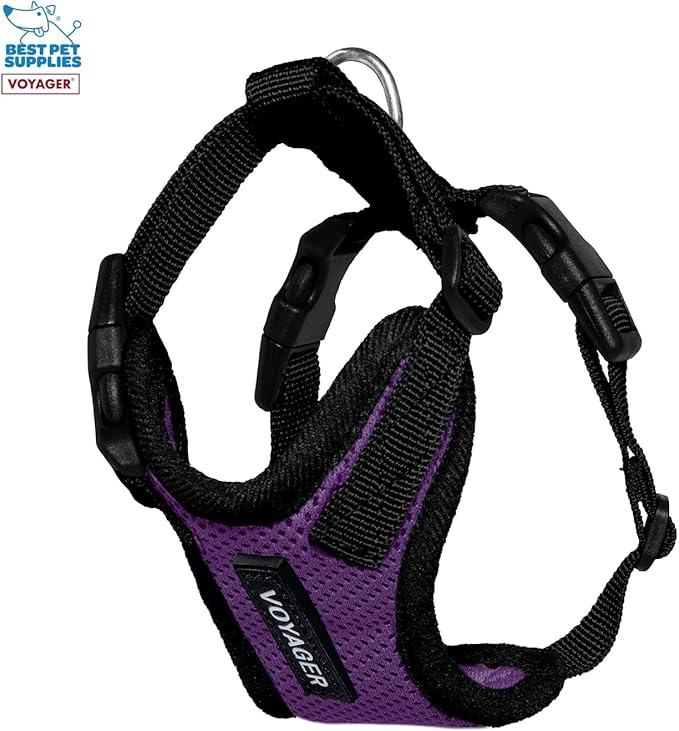 Voyager Step-in Lock Adjustable Cat Harness w. Cat Leash Combo Set with Neoprene Handle 5ft - Supports Small, Medium and Large Breed Cats by Best Pet Supplies - Purple/Black Trim, XXS