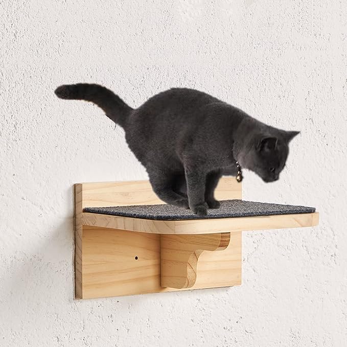 9.8" x 7.1" Solid Wood Wall Mounted Large Cat Step, Cat Wall Furniture, Cat Wall Shelves, Wall Stairs, Wall Perch