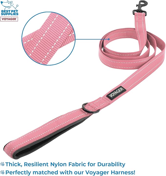 Voyager Step-in Lock Adjustable Cat Harness w. Cat Leash Combo Set with Neoprene Handle 5ft - Supports Small, Medium and Large Breed Cats by Best Pet Supplies - Pink, XXXS