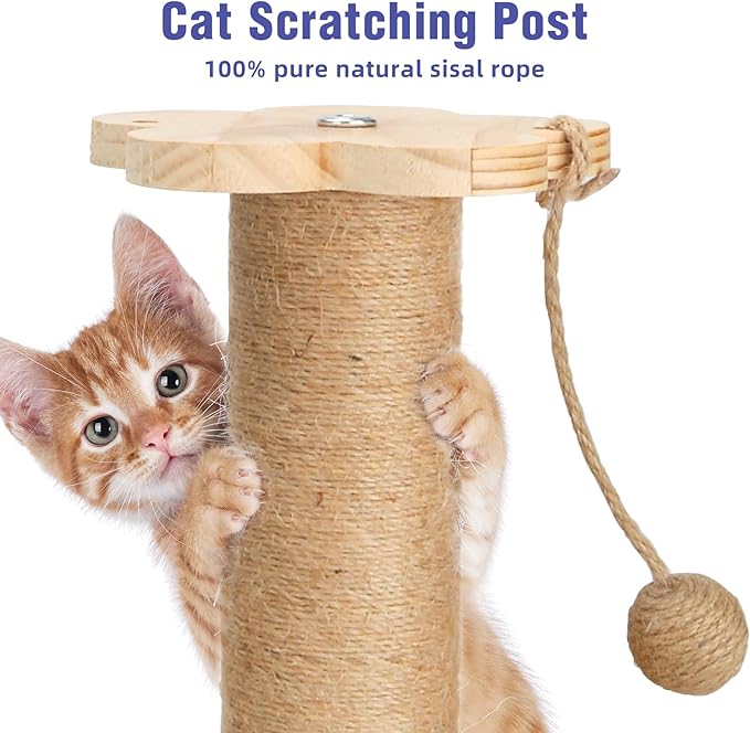 Cat Scratching Post Cat Toys for Indoor Cats 4 in 1 Wooden Ball Cardboard 2 Level with Cat Track Dangling Balls Cat Natural Sisal Scratching Bed Pad Cat Tree Feather Toy for Kittens Adult Cats