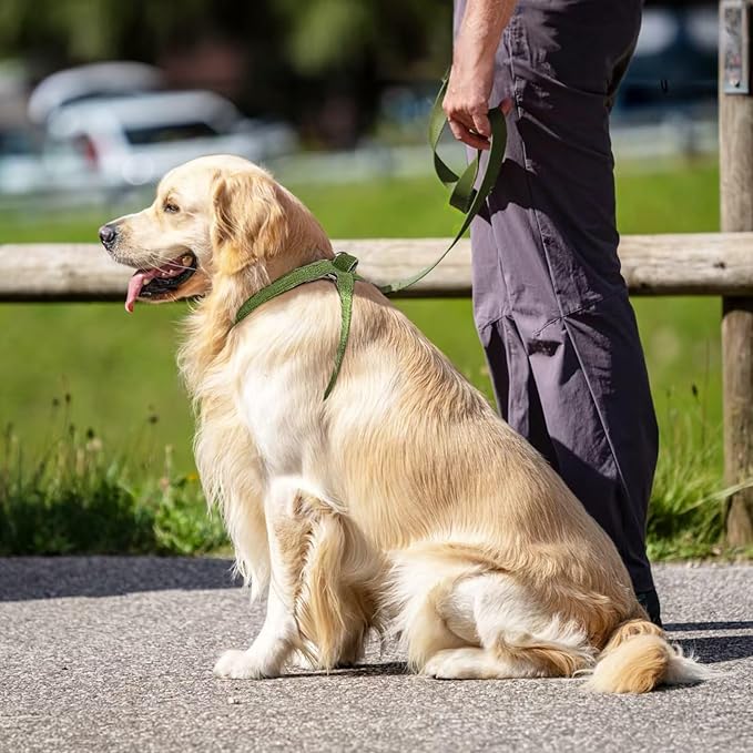 Cat Harness for Walking Escape Proof Linen Fabric Adjustable Pet Vest Harness Comfortable Soft Lightweight Harness for Cats and Dogs Blue M