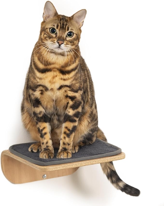 Cat Shelves, Cat Wall Steps and Perch, Cat nest, Wooden Floating Cat Climbing Furniture for Hopping and Sleeping, with Scratching Cushion（Step）