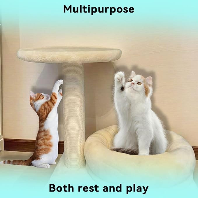 Cat Grabbing Post with Interactive Plush Mouse Toy Comes with a Cozy Private cat Bed Perfect for Kittens and Small to Medium Cats.