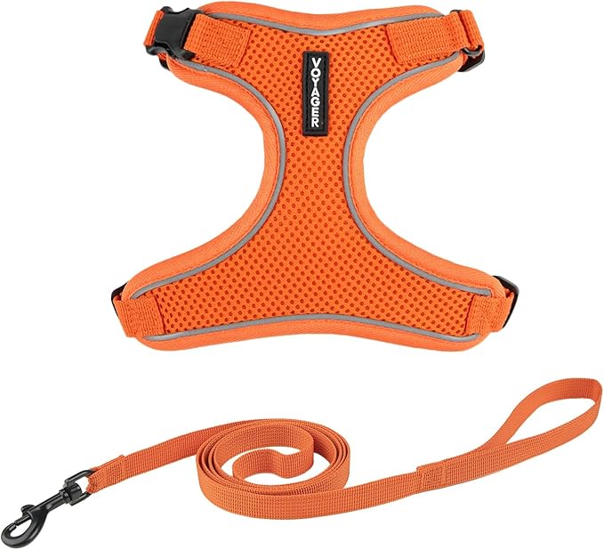 Voyager Escape Proof Cat Harness and Leash Set with Reflective Stitching, Neoprene Handle 5ft - Supports Small, Medium and Large Cats, Kittens for Walking by Best Pet Supplies - Orange, S