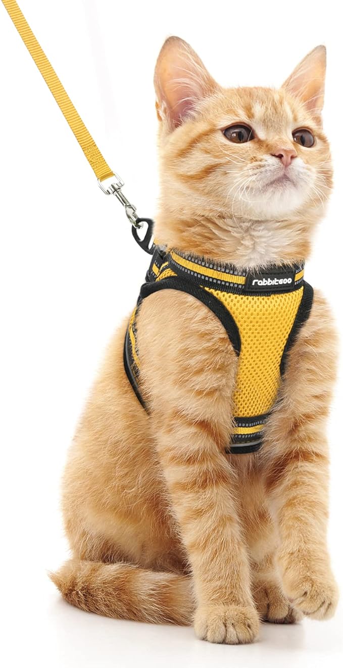 rabbitgoo Cat Harness and Leash Set for Walking Escape Proof, Adjustable Soft Kittens Vest with Reflective Strip for Cats, Comfortable Outdoor Vest, Lemon Yellow, M