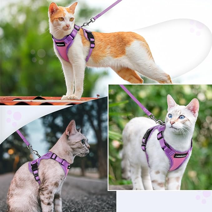 rabbitgoo Cat Harness and Leash Set, Escape Proof Soft Adjustable Vest Harnesses for Outdoor Walking, Easy Control Breathable Kitten Jacket with Reflective Strips, Pink & Purple, XXS