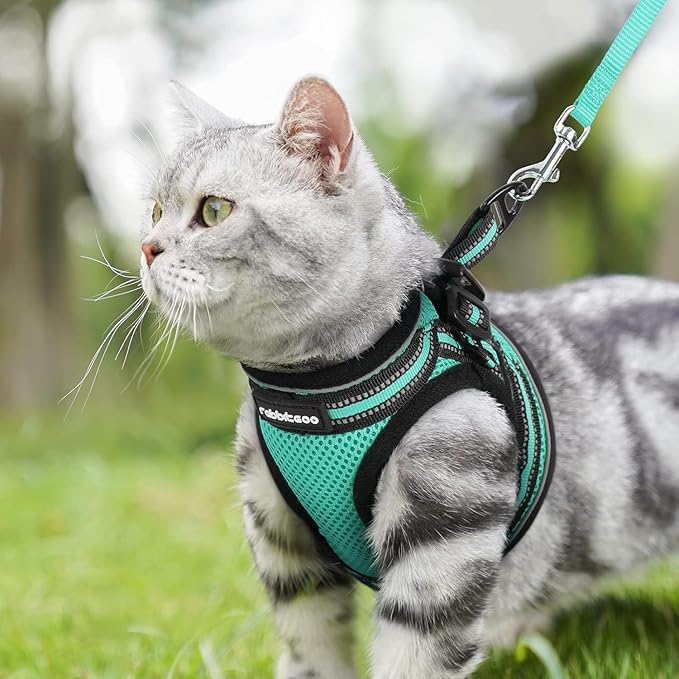 rabbitgoo Cat Harness and Leash Set for Walking Escape Proof, Adjustable Soft Kittens Vest with Reflective Strip for Cats, Comfortable Outdoor Vest, Green, XL