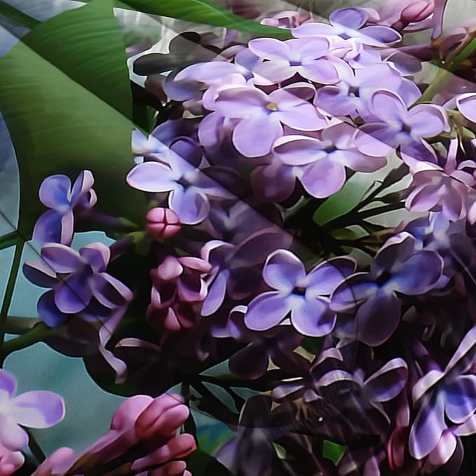 AILONEN Cat Comforter Set for Girls Kids Teens, 3D Printed Cat Bedding Set Twin Size,for Boys Animal Cat Printed Quilted Duvet,Cute Cat Quilt,Easy Care，1 Comforter 2 Pillowcases 3 Piece