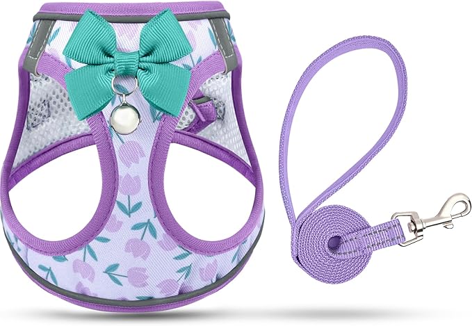 Cat Harness and Leash Escape Proof for Walking, Adjustable Soft Kitten Harness with Reflective Straps Step in Cat Vest Harness for Small Kitten and XS Dogs (Purple, XXS-Chest(8.7"-10.2"))