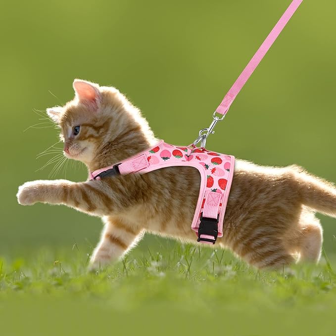 URATOT Cat Harness and Leash Set Cat Vest Harness Pet Leash and Collar Set Pet Harness for Kitties Puppies Small Pets Outdoor Walking, X-Small