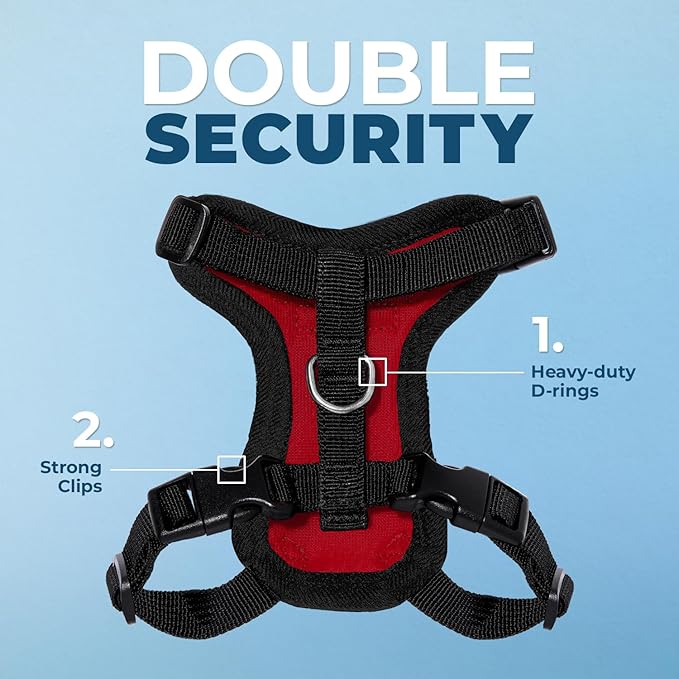 Voyager Step-in Lock Adjustable Cat Harness w. Cat Leash Combo Set with Neoprene Handle 5ft - Supports Small, Medium and Large Breed Cats by Best Pet Supplies - Red/Black Trim, XS