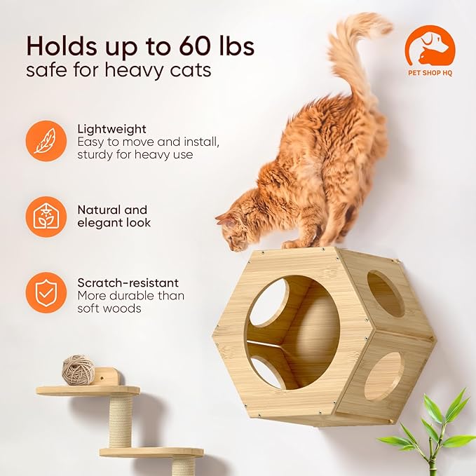 Cat Wall Shelves Furniture for Climbing - Cat House Wall Mounted - Indoor Wooden Floating Cat Furniture - Different Models Including Shelves, Perches, Hammock, Bed, Bridges, Walkways